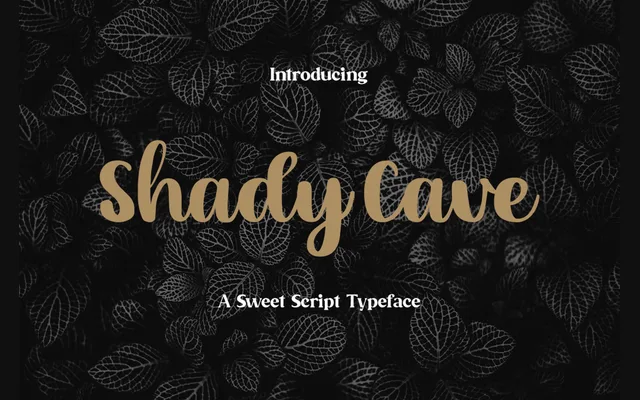 Shady Cave specimen from KrakenBox