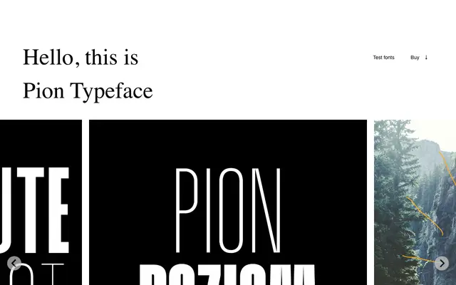 Pion specimen from Laïc
