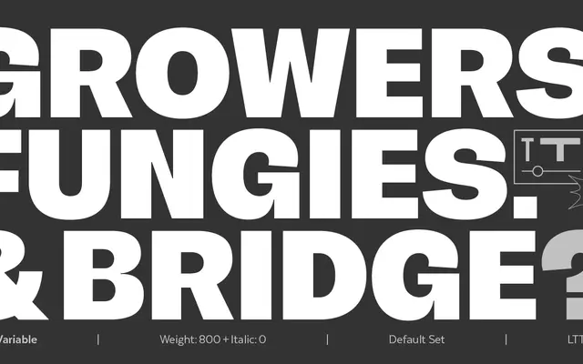Acaraje Variable specimen from Latinotype