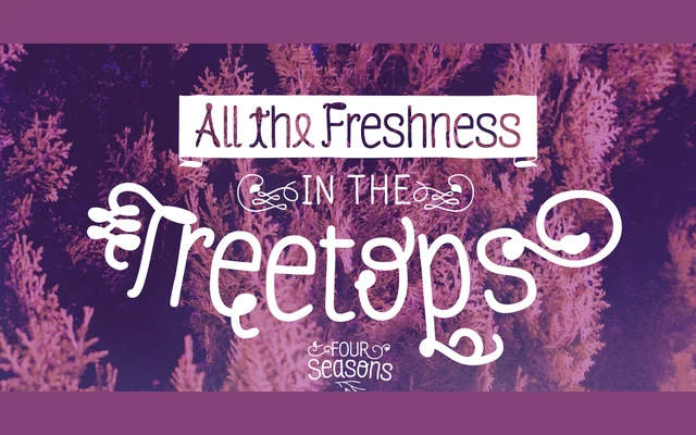 Four Seasons specimen from Latinotype