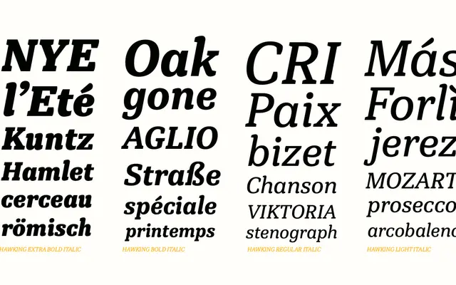 Hawking specimen from Latinotype