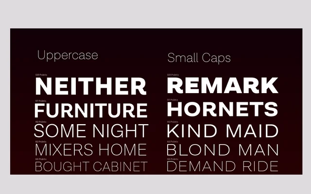 Lota Grotesque specimen from Latinotype