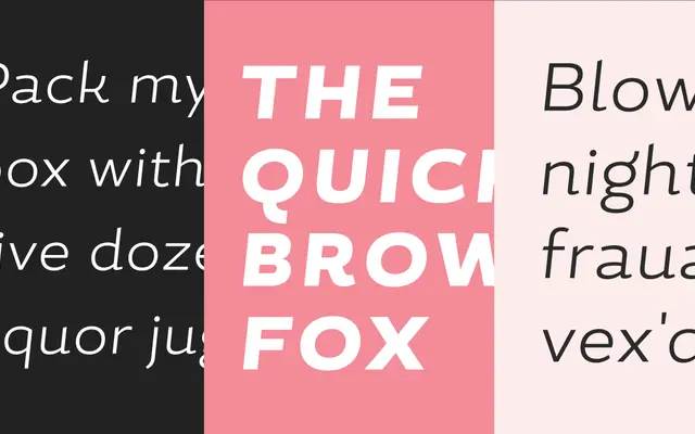 Magallanes Essential specimen from Latinotype