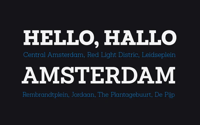 Sanchez Niu specimen from Latinotype