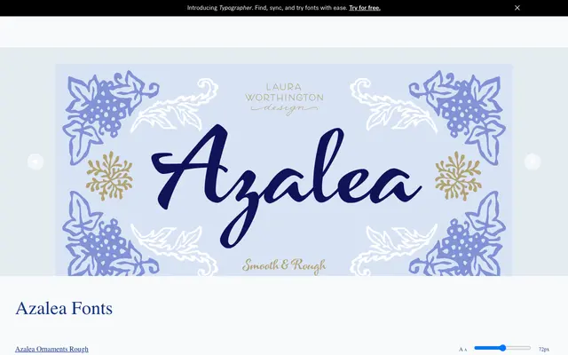 Azalea specimen from Laura Worthington Design