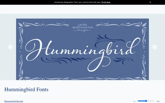 Hummingbird specimen from Laura Worthington Design