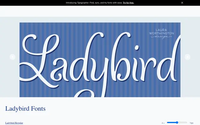 Ladybird specimen from Laura Worthington Design