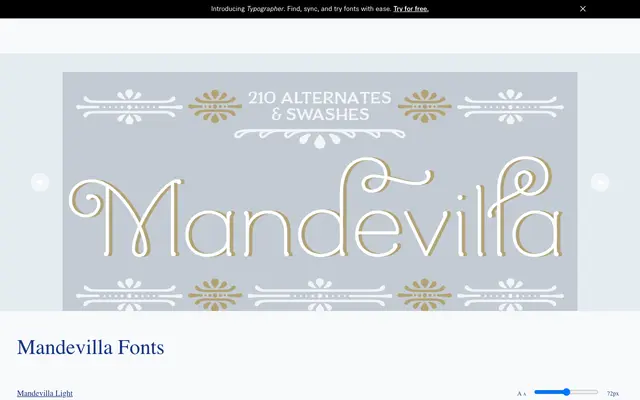 Mandevilla specimen from Laura Worthington Design