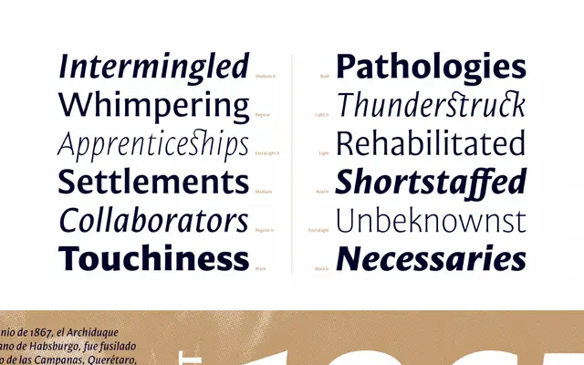 Mestiza Sans specimen from Lechuga Type