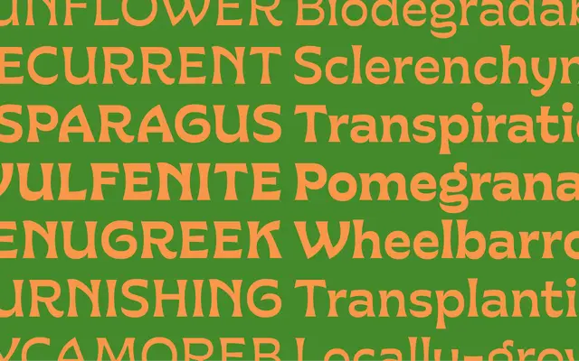Gardein specimen from Leinster Type
