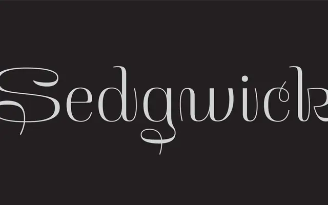 Sedgwick specimen from Leinster Type