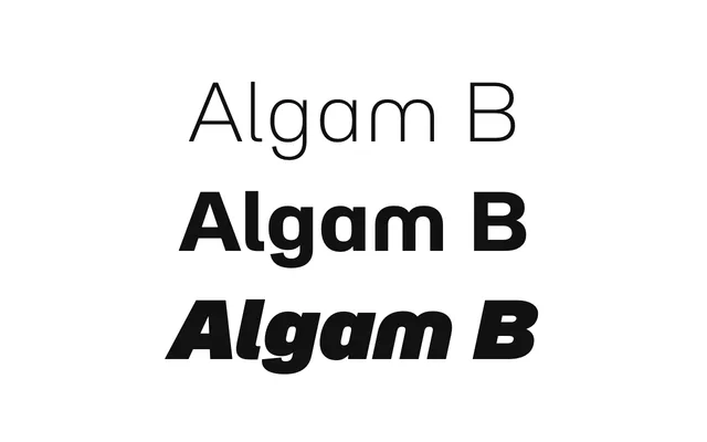 Algam B specimen from Lettersetal