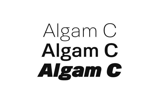 Algam C specimen from Lettersetal