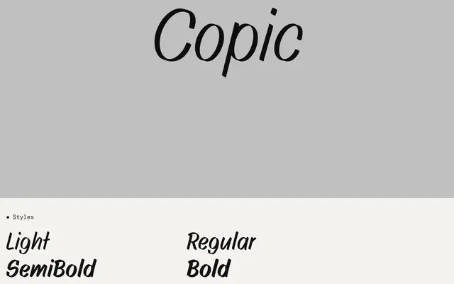 Copic specimen from Ligature Type