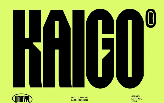 Kaigo specimen from limitype