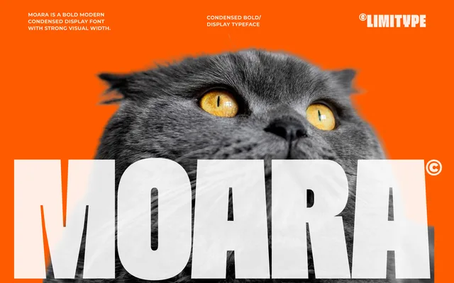 Moara specimen from limitype