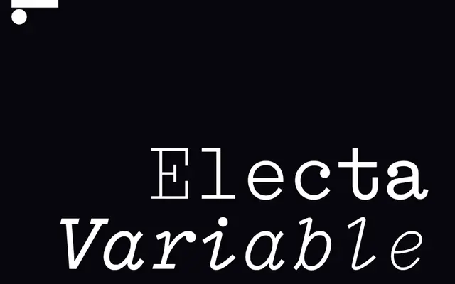 Electa Var specimen from Lineto