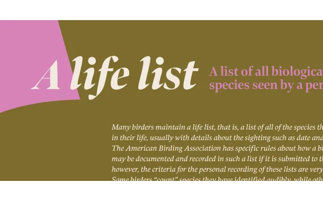 Bennet Banner specimen from Lipton Letter Design