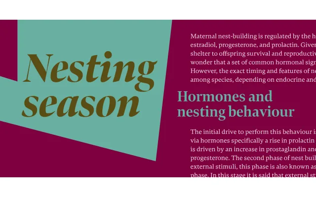 Bennet Display specimen from Lipton Letter Design