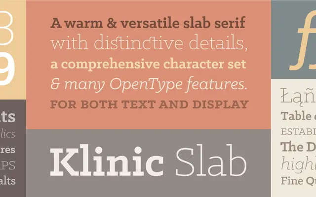 Klinic Slab specimen from Lost Type Co-op