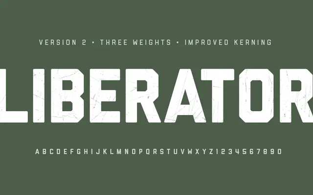 Liberator specimen from Lost Type Co-op