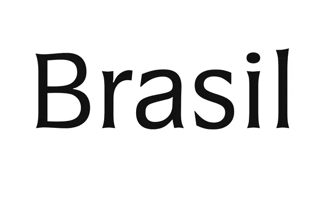 Brasil specimen from Ludwig