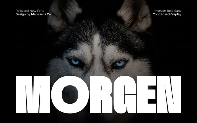 Morgen specimen from Mahesans Co