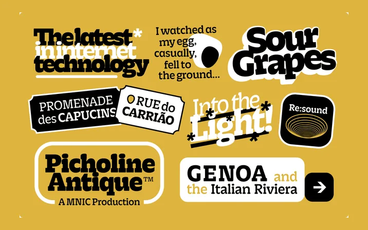 Picholine Antique specimen from Manic Type
