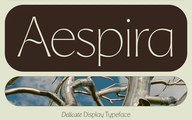 Aespira specimen from Mark van Leeuwen
