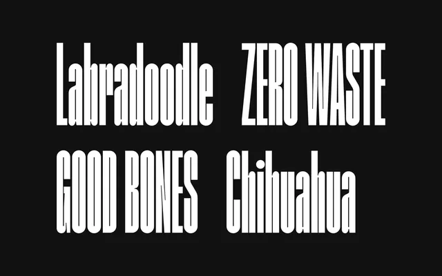 Max Condensed specimen from Milk Type Foundry