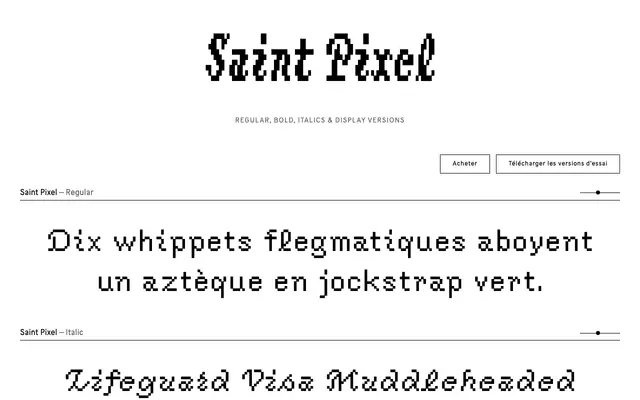 Saint Pixel specimen from Moglia