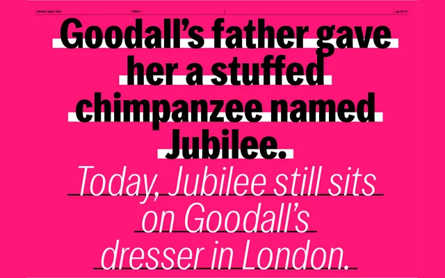 Jane specimen from Monkey Type