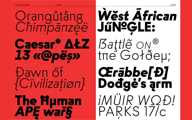 Maurice specimen from Monkey Type