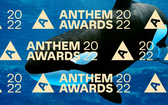 Anthem Awards specimen from Morcos Key