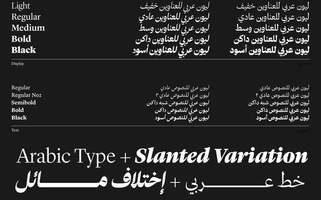 Lyon Arabic specimen from Morcos Key