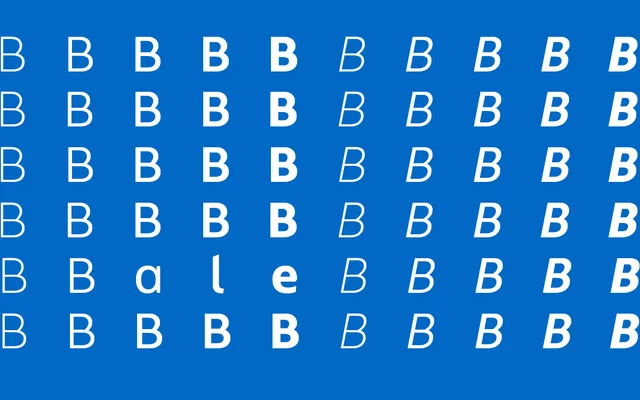 Bale specimen from Moretype