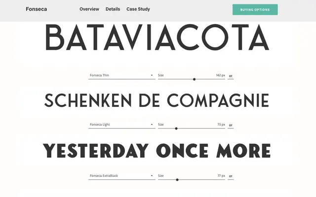 Fonseca specimen from Nasir Udin Studio