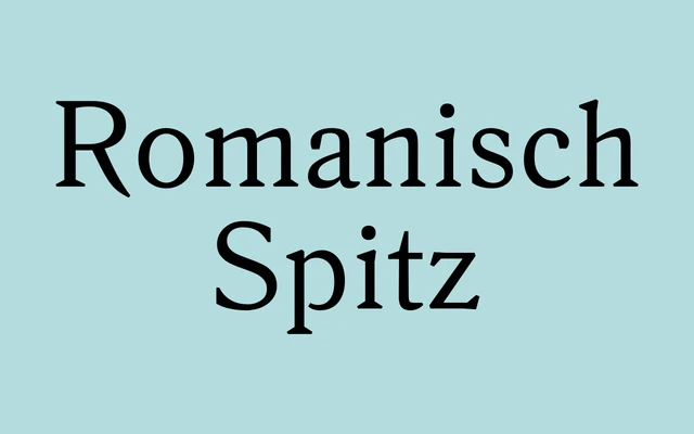 Romanisch Spitz specimen from Nomad Type