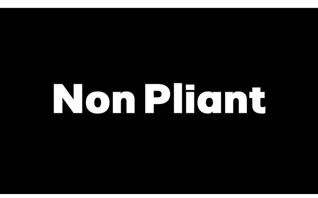 Non Pliant specimen from Non Foundry