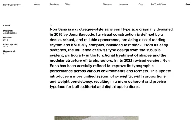 Non Sans specimen from Non Foundry