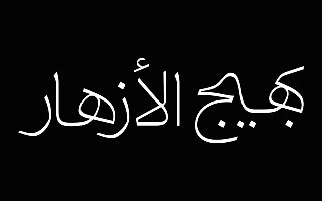 Damoon specimen from NoonFont