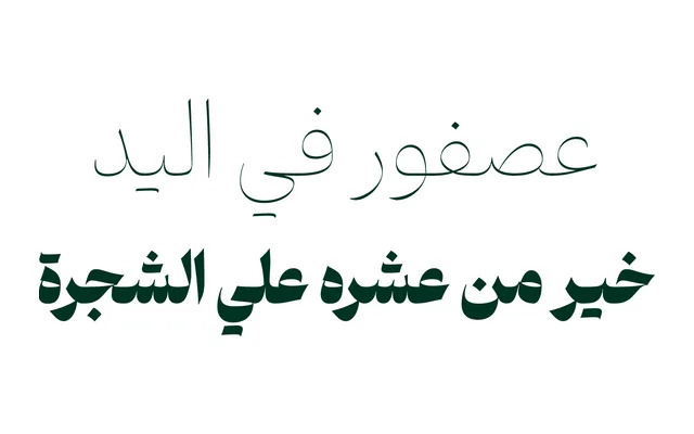 Doran specimen from NoonFont