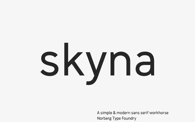 Skyna specimen from Norberg Type Foundry