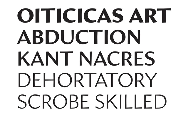 Amira 2 specimen from Occupant Fonts
