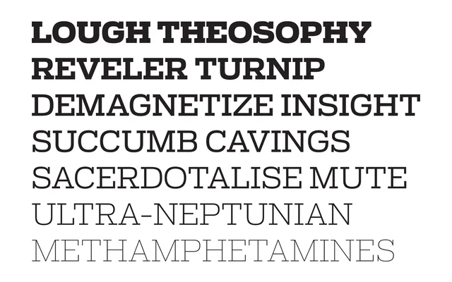 Antenna Serif specimen from Occupant Fonts