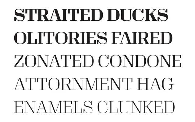 Occupant Modern specimen from Occupant Fonts