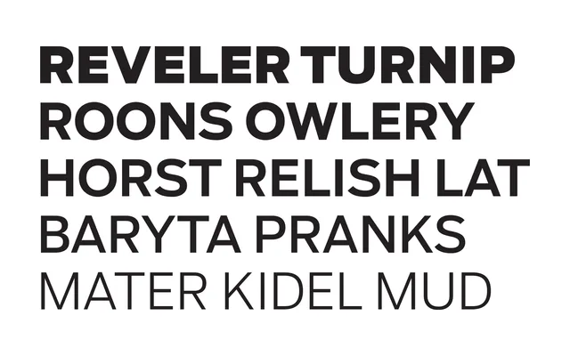 Salvo Sans specimen from Occupant Fonts