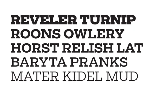 Salvo Serif specimen from Occupant Fonts