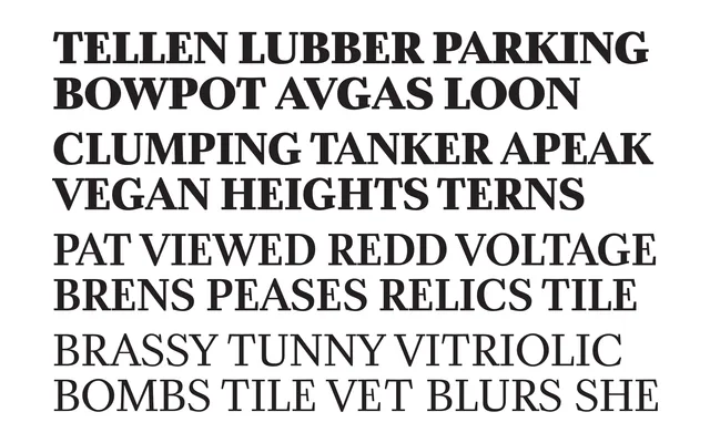 Zócalo Banner specimen from Occupant Fonts