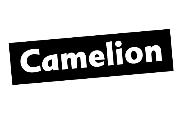 Camelion specimen from OH no Type